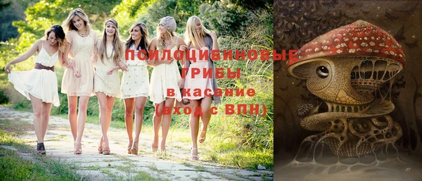 спиды Зеленодольск