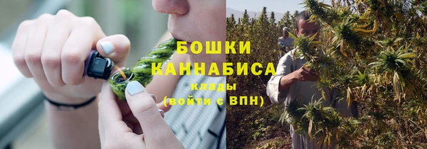 мяу мяу мука Осташков